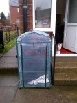 3 Tier greenhouse in rear garden